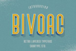 Bivoac: A Real Designer’s Field Test