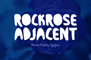 Rockrose Adjacent: A Display Font for Editorial Grace