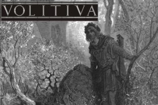 Volitiva: A Working Designer's Hands-On Review